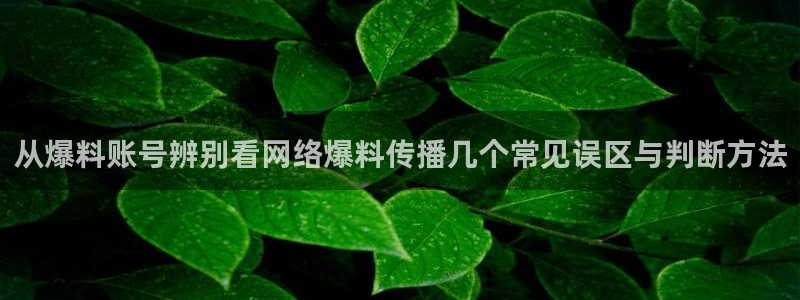 热门黑料信息汇总