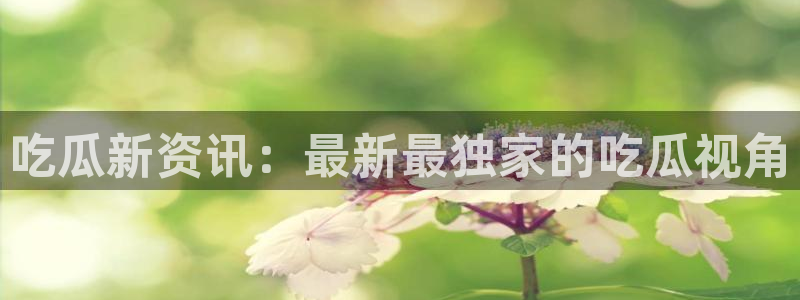 黑料爆料真伪核验