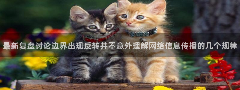 最新黑料当事人回应
