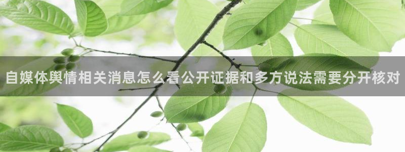 黑料吃瓜完整时间线