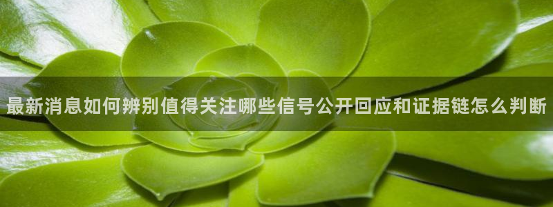 黑料事件后续进展