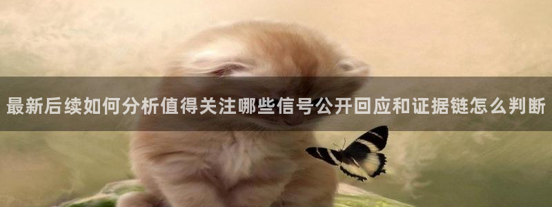 热门黑料证据梳理