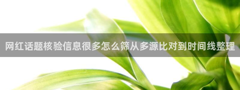 热门黑料完整时间线