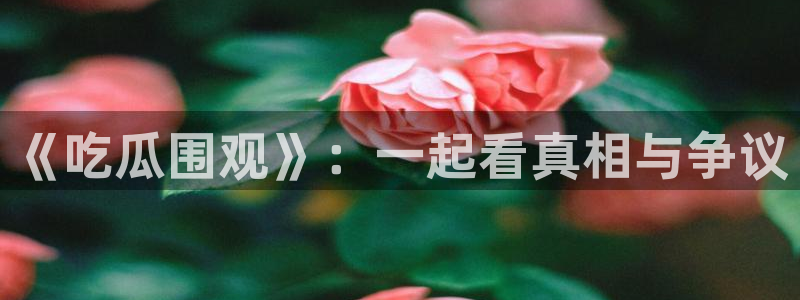主播黑料今日更新