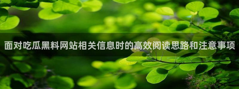 网络黑料最新消息